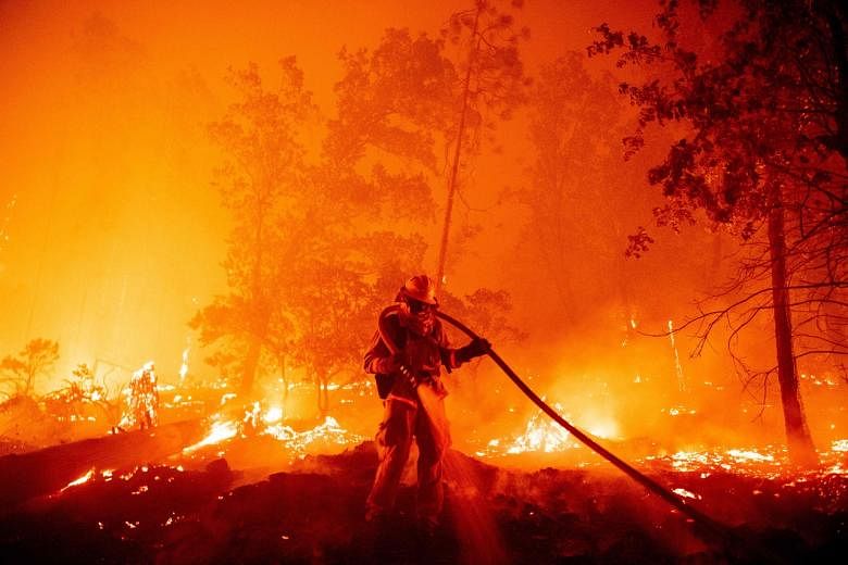 Featured Post Image - Tanah AS hilang dalam kebakaran hutan parah yang meningkat selama beberapa dekade